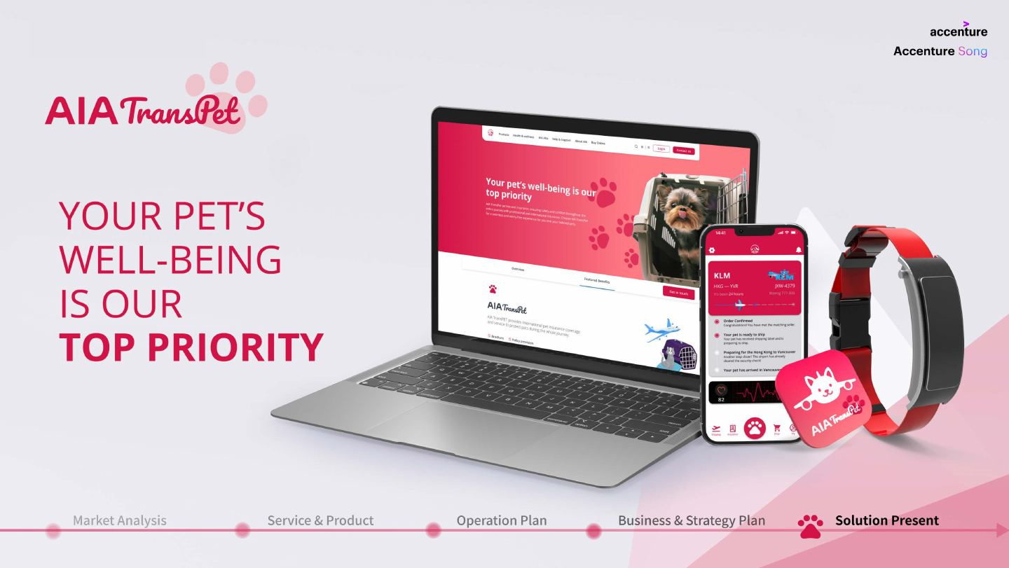 High-fidelity service system from the project